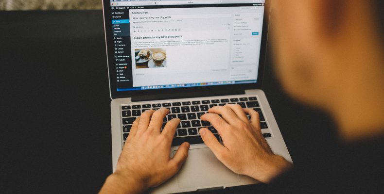 Développeur travaillant sous Wordpress